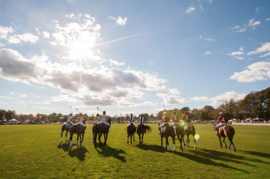 Screen Shot 2019-03-25 at 11.01.43 AM