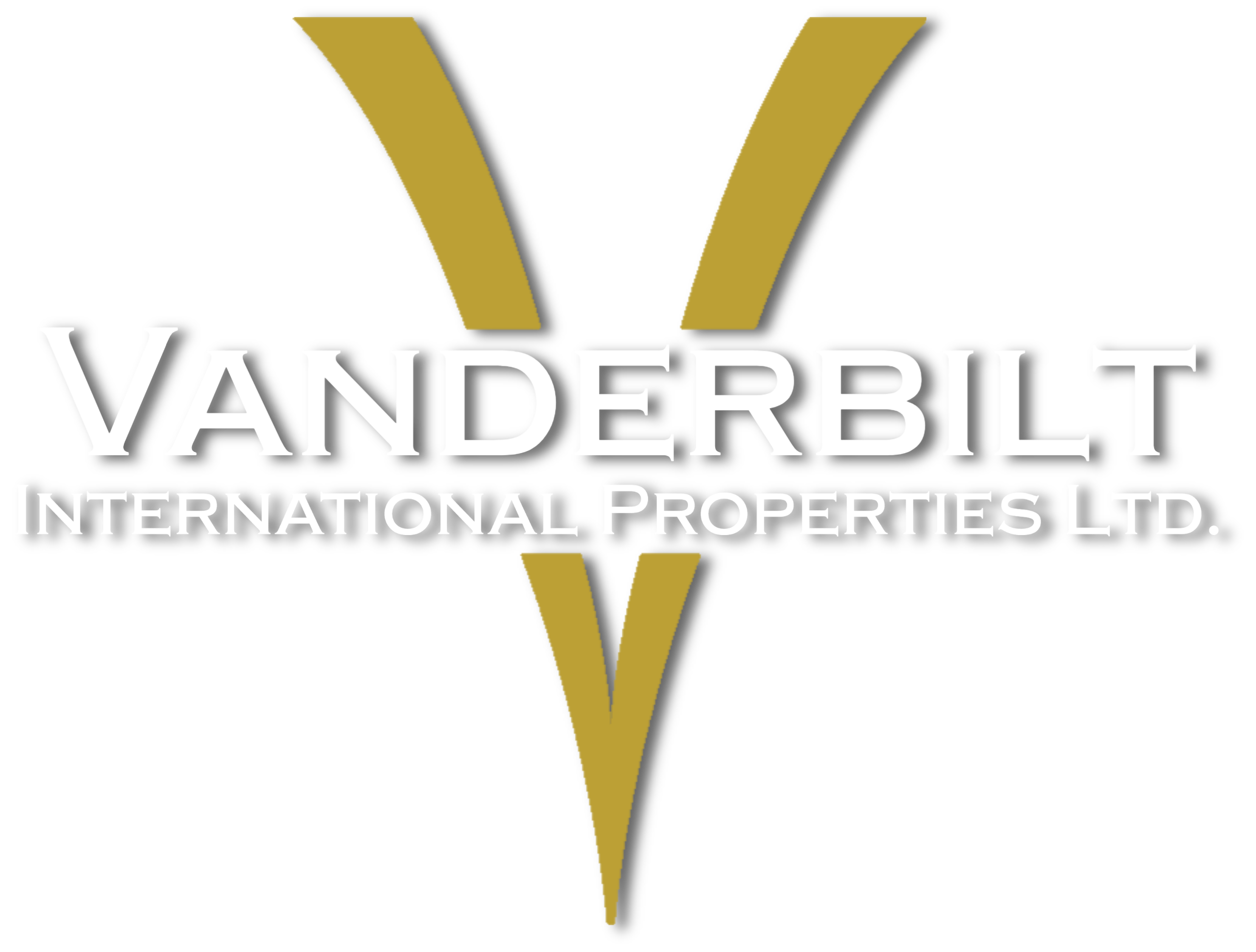 VIP navy and gold (1)